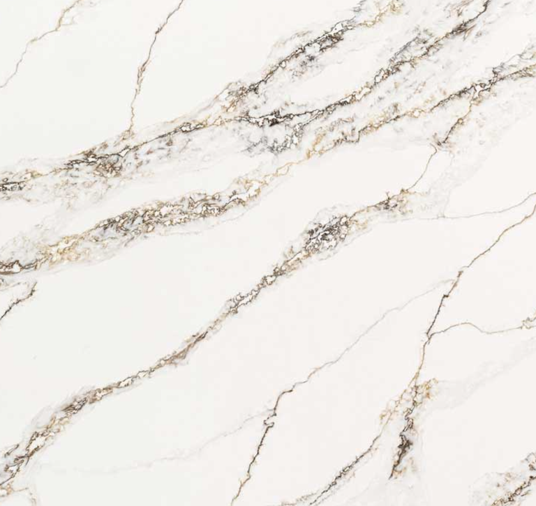 Read more about the article Calithea